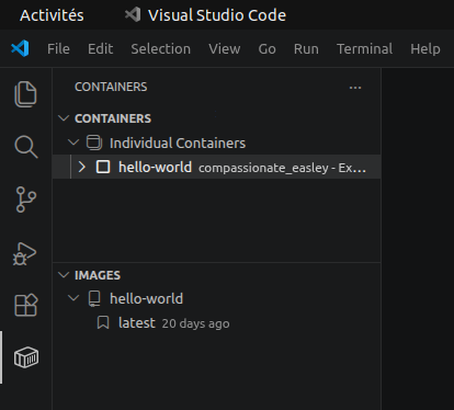Vue Docker dans VS Code